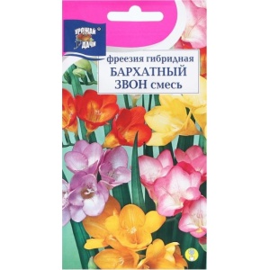 Семена цветов Фрезия гибридная "БАРХАТНЫЙ ЗВОН", смесь, 0,04 г freeziya-min
